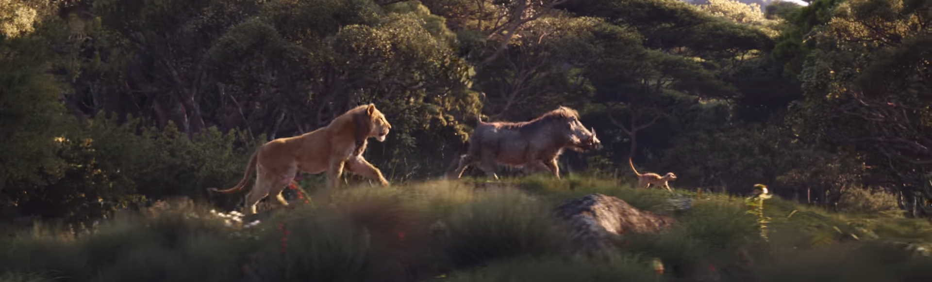 The Lion King. Image Credit: Disney. 