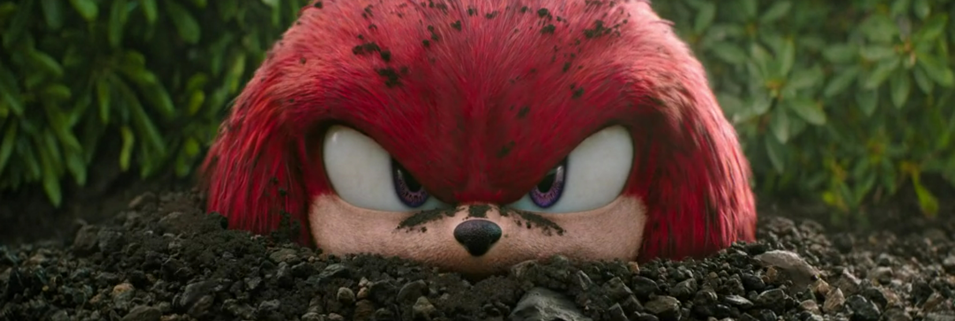 Knuckles burrows up from the ground.